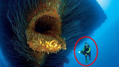 15 Surprising Underwater Discoveries Caught On Camera Youtube