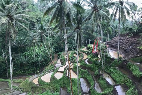 Ubud Highlights Prince Of Travel