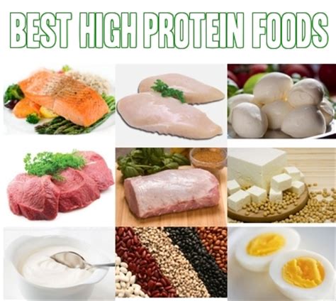 The List of the Top 10 High Protein Foods Revealed