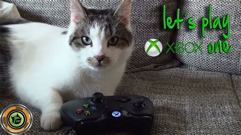 Let´s Play Fifa 15 Xbox One Cat Edition Hd Youtube