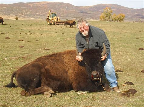Hunter Holding Buffalo Head Up Hi Mountain Outfitting Bison And Buffalo
