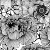 006 Floral Print | Black & White | Flower drawing, Floral illustrations ...