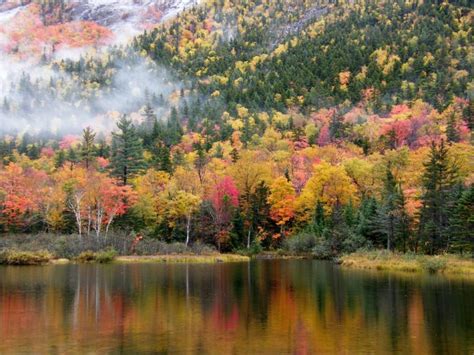 When To View Peak Foliage In New Hampshire 2017