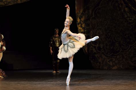 Dorothée Gilbert Danseuse Etoile Opéra De Paris Just Dance Dance
