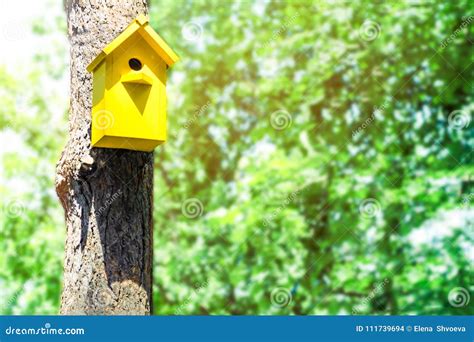 The Yellow Birdhouse On A Tree In Spring Forest Concept Of Approach Of