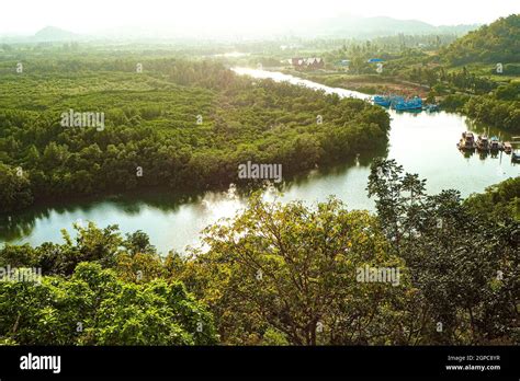 Panorama Tropical Rain Forest River In Southeast Asia Asias Tropical