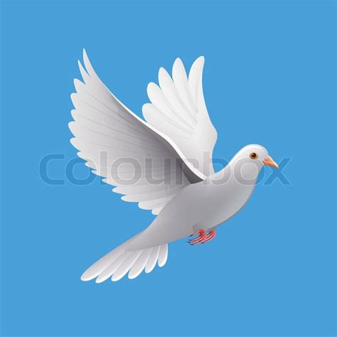 Flying Dove Isolated On Blue Stock Vector Colourbox