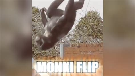 Monki Flip Know Your Meme