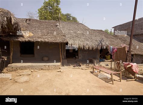 Village Hut Orissa India Stock Photo Alamy