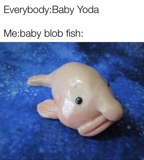 Blobfish Meme