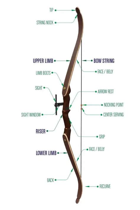 Best Recurve Bows For Beginners 2023reviews Buying Guide Boss Targets