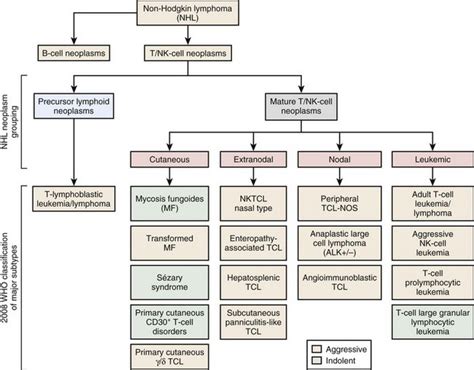 T Cell Lymphomas Oncohema Key