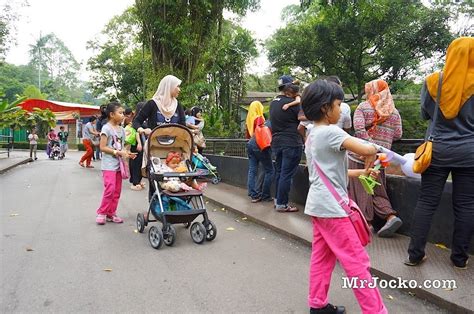 Harga tiket zoo negara fashion beauty lifestyle and food blogger. Harga Tiket Masuk Zoo Negara Dan Giant Panda RM50