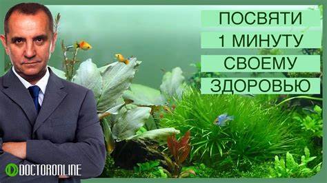 Андрей ракицкий похудеть Андрей Ракицкий. 1- минутная медитация от любых проблем. Медитация на Андрей Ракицкий. 1- минутная медитация от любых проблем. Медитация на Андрей ракицкий похудеть
