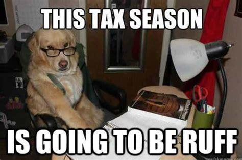 funny memes that will get you through tax season viraluck