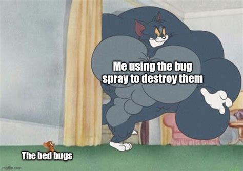 Me Using The Bug Spray To Destroy Them The Bed Bugs Imgflip
