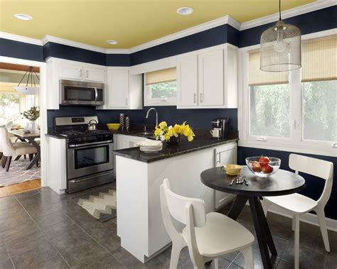 Best Kitchen Colors With White Cabinets Home Furniture Design