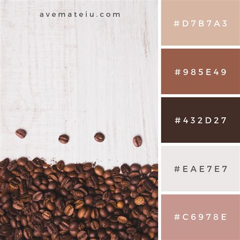 Coffee Beans Composition On White Background Color Palette 273 Hex