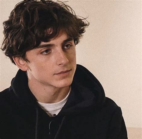 Bel Homme Timothee Chalamet Beautiful Boys Pretty People