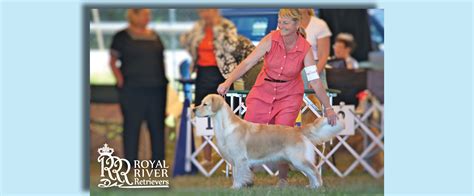 Our children are blessed to be growing up with the exceptionally warm weather we've enjoyed this fall in new england, these if you are interested in one of our windy knoll golden puppies, raised with love in a family environment. Royal River Retrievers - Golden Retriever Puppies in Maine ...
