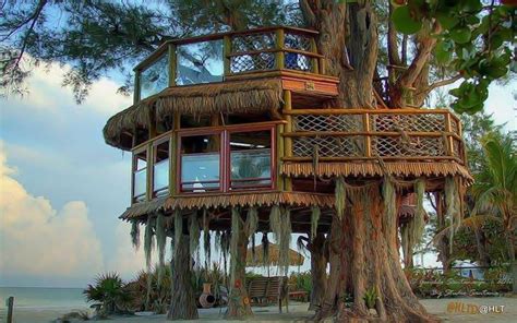 Tree House Wallpapers Wallpaper Cave