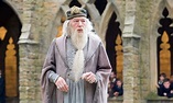 ‘Harry Potter’: el reparto con actores, actrices y personajes de las ...