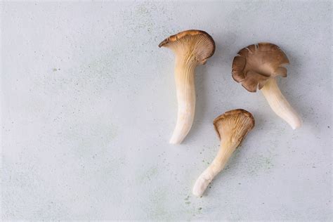 Chanterelle Mushroom Nutrition Facts and Health Benefits
