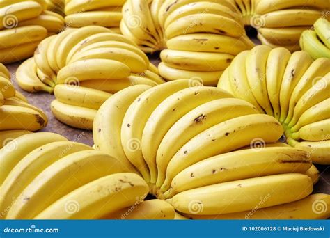 Ripe Banana Bunches On A Local Market Stock Photo Image Of Ripe