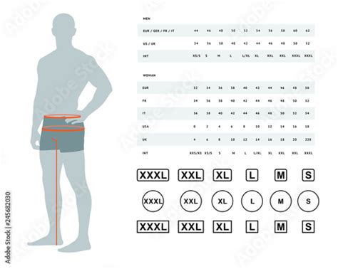 Measurements For Clothing Vector Illustration Of The Dimensions Of The
