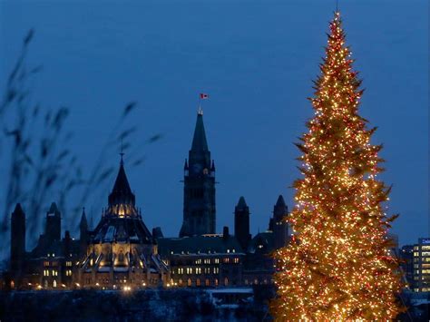 The Biggest Christmas Trees In Ottawa Ranked Ottawa Citizen