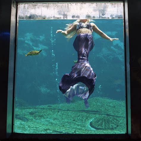 Floridas Strange And Beautiful Mermaid Theme Park Underwater Mermaid