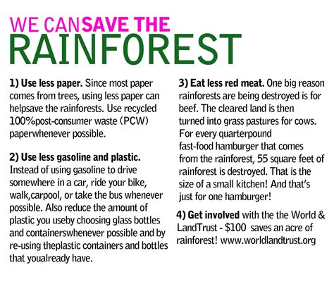 Rainforest Save The Rainforest