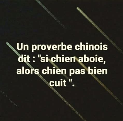 Proverbe Chinois Proverbes Chinois Blague Francais Proverbe