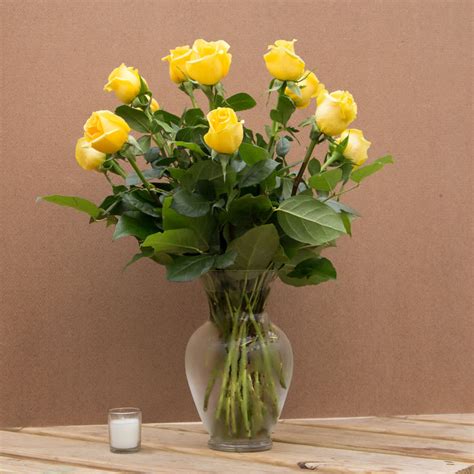 1 Dozen Long Stem Yellow Roses In Peabody Ma Evans Flowers