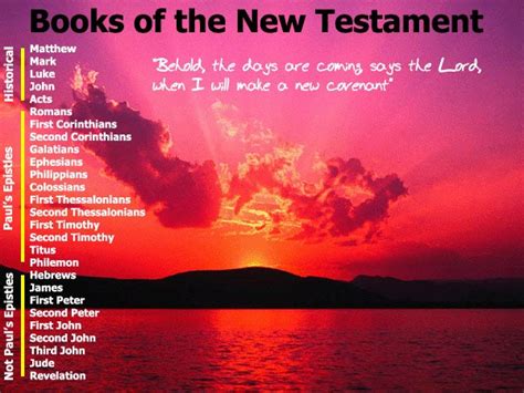 But how do we know who really wrote the bible? New Testament Books (Bible History Online)