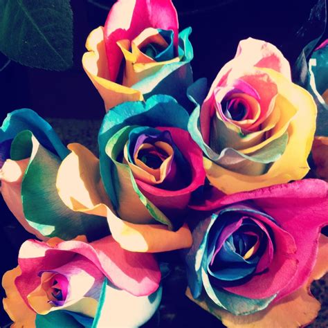 Make A Rainbow Rose 100 Things To Do Before You Die