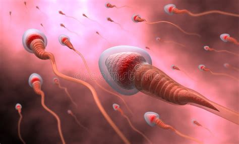natural insemination sperm stock illustration illustration of research life 11810442
