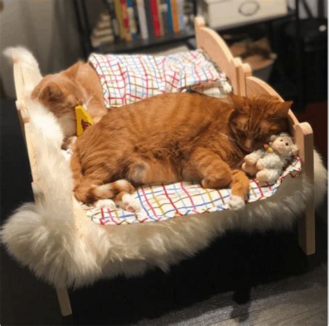 Transform This Ikea Doll Bed Into The Cutest Bed Ever For Your Cat