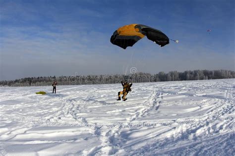 Winter Skydiving A Yellowsuit Skydiver Is Landing On The Snow Stock