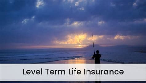 What Is Level Term Life Insurance And How It Works Lifeinsurance Quote