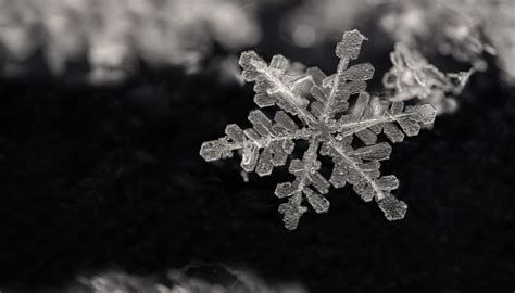 How To Photograph Snowflakes Learn Photography By Zoner