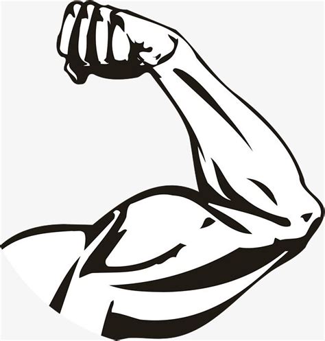 Strong Arm Png Transparent Strong Arms Muscle Clipart Arm Icon Png