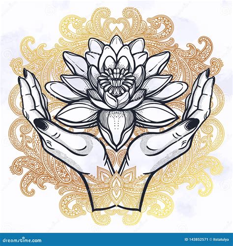Lotus En Manos Ilustraci N Del Vector Ilustraci N De Elemento