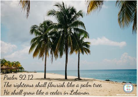 Palm Tree Quotes Bible Palms Bible Quotes Quotesgram Luckily Weve