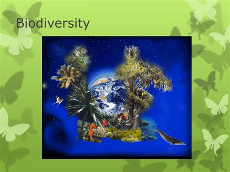 Ppt Biodiversity Powerpoint Presentation Free Download Id2047956