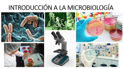 IntroducciÓn A La MicrobiologÍa ¿qué Es La Microbiología Youtube Free