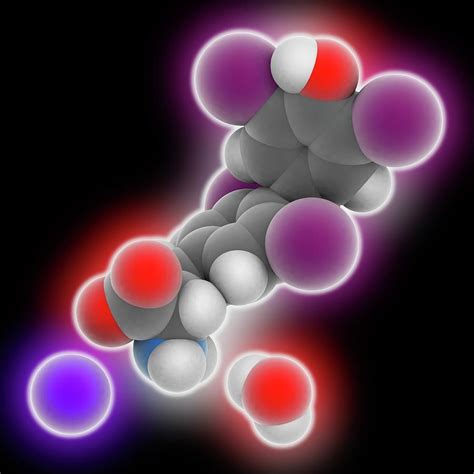Levothyroxine Sodium Hydrate Molecule Photograph By Laguna Design