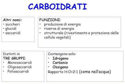 Cosa Sono I Carboidrati Biologia - Carboidrati