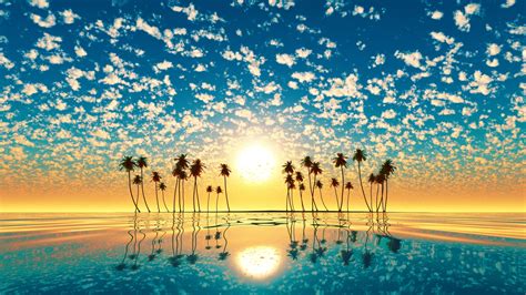 1600x900 Palm Trees Reflection Sunset Wallpaper1600x900 Resolution Hd