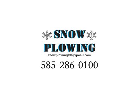 The Snow Plowing Co